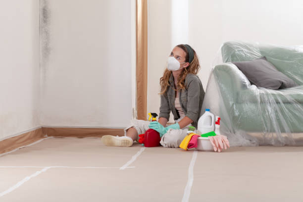 Reliable Attic Mold Removal contractor in Liverpool, NY by WQB Mold Removal